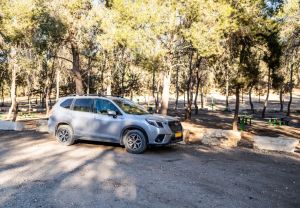 טיול 4X4 ציורי בין פריחות סתוויות